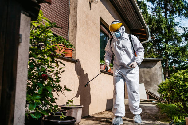 Best Rodent Control Near Me  in Avenel, NJ