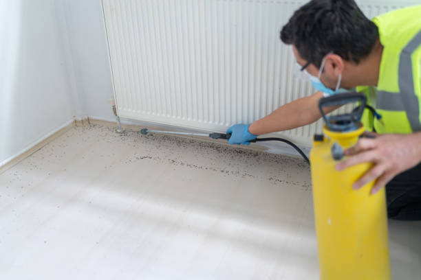 Best Affordable Pest Control Services  in Avenel, NJ