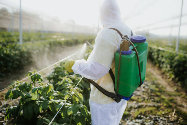 Best Pest Control Near Me  in Avenel, NJ